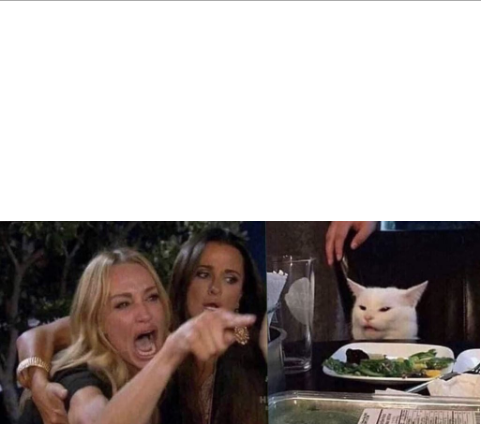 Confused Cat Blank Template Imgflip
