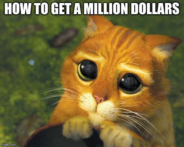 How To REALLY Get A Mil | HOW TO GET A MILLION DOLLARS | image tagged in puss in boots,one million dollars,puss in boots eyes | made w/ Imgflip meme maker