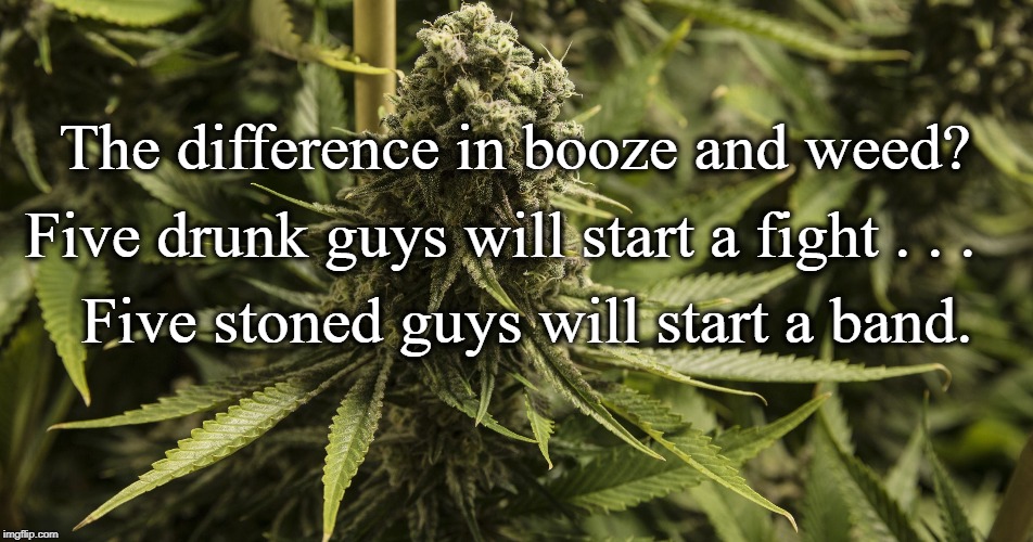 Booze vs Weed | The difference in booze and weed? Five drunk guys will start a fight . . . Five stoned guys will start a band. | image tagged in humor | made w/ Imgflip meme maker