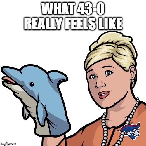 Pam dolphin puppet | WHAT 43-0 REALLY FEELS LIKE | image tagged in pam dolphin puppet | made w/ Imgflip meme maker