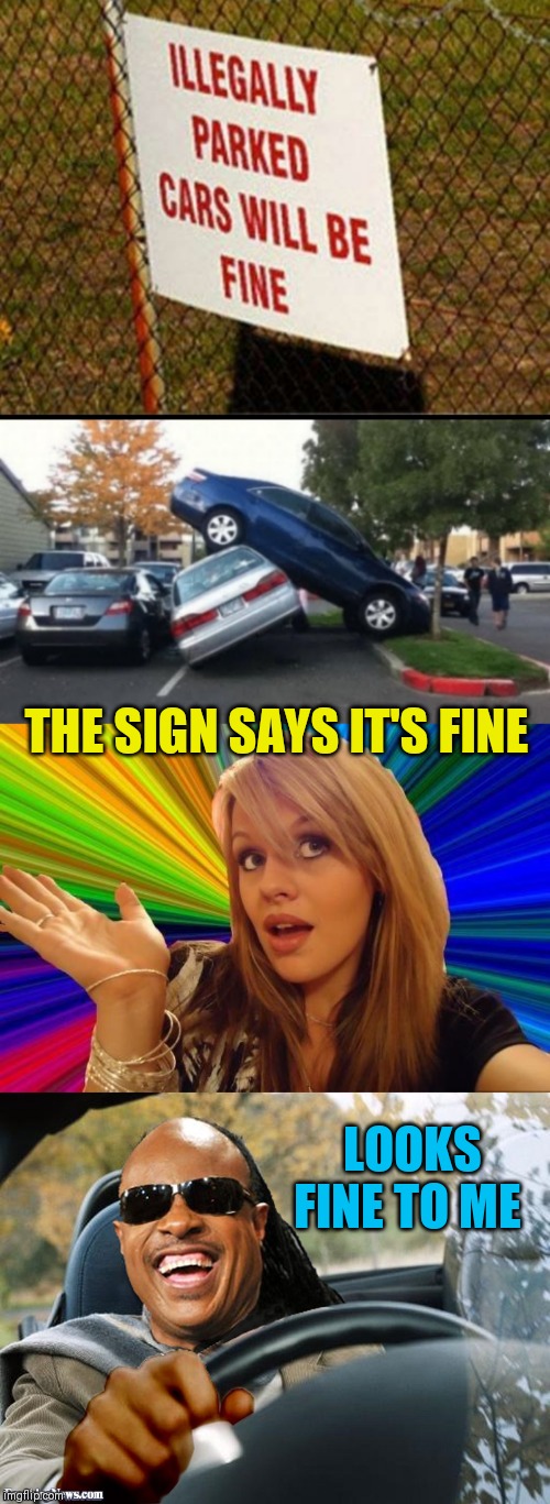 I think she needs an extra, extra set of eyes ;) | THE SIGN SAYS IT'S FINE; LOOKS FINE TO ME | image tagged in stevie wonder driving,memes,dumb blonde,44colt,funny signs,driving | made w/ Imgflip meme maker