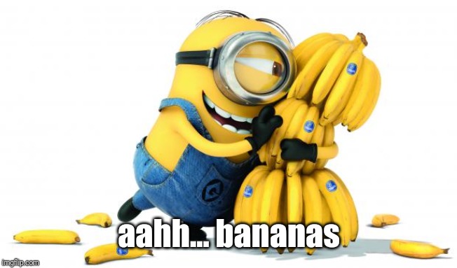 Minion Bananas | aahh... bananas | image tagged in minion bananas | made w/ Imgflip meme maker