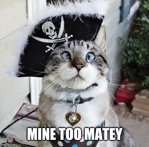 Spangles Meme | MINE TOO MATEY | image tagged in memes,spangles | made w/ Imgflip meme maker