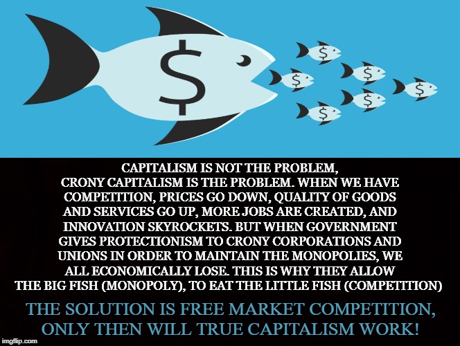 Laissez Faire | CAPITALISM IS NOT THE PROBLEM, CRONY CAPITALISM IS THE PROBLEM. WHEN WE HAVE COMPETITION, PRICES GO DOWN, QUALITY OF GOODS AND SERVICES GO UP, MORE JOBS ARE CREATED, AND INNOVATION SKYROCKETS. BUT WHEN GOVERNMENT GIVES PROTECTIONISM TO CRONY CORPORATIONS AND UNIONS IN ORDER TO MAINTAIN THE MONOPOLIES, WE ALL ECONOMICALLY LOSE. THIS IS WHY THEY ALLOW THE BIG FISH (MONOPOLY), TO EAT THE LITTLE FISH (COMPETITION); THE SOLUTION IS FREE MARKET COMPETITION, ONLY THEN WILL TRUE CAPITALISM WORK! | image tagged in capitalism,free market,entrepreneur,competition,crony,oligarchy | made w/ Imgflip meme maker