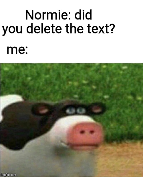 Perhaps cow | Normie: did you delete the text? me: | image tagged in perhaps cow | made w/ Imgflip meme maker