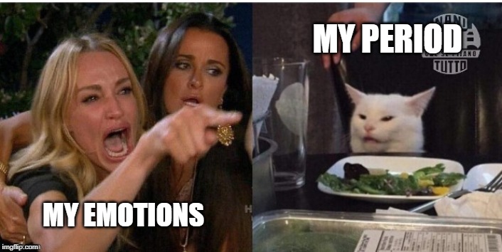 white cat table | MY PERIOD; MY EMOTIONS | image tagged in white cat table | made w/ Imgflip meme maker