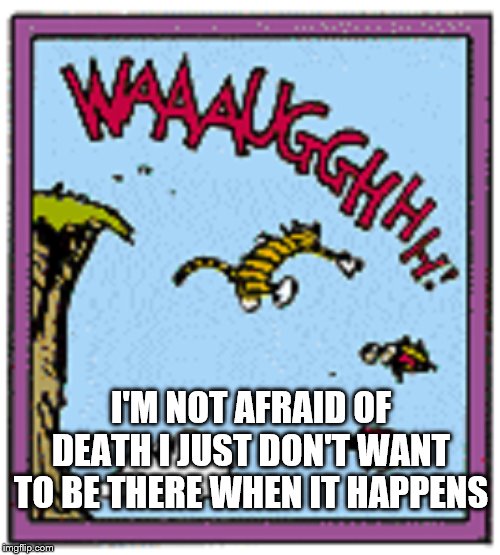 Calvin and Hobbes | I'M NOT AFRAID OF DEATH I JUST DON'T WANT TO BE THERE WHEN IT HAPPENS | image tagged in calvin and hobbes crashing wagon | made w/ Imgflip meme maker