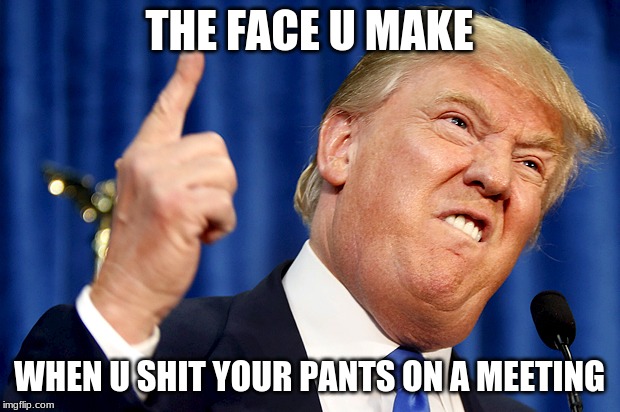 Donald Trump | THE FACE U MAKE; WHEN U SHIT YOUR PANTS ON A MEETING | image tagged in donald trump | made w/ Imgflip meme maker