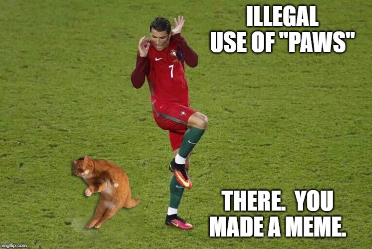 ILLEGAL USE OF "PAWS" THERE.  YOU MADE A MEME. | made w/ Imgflip meme maker