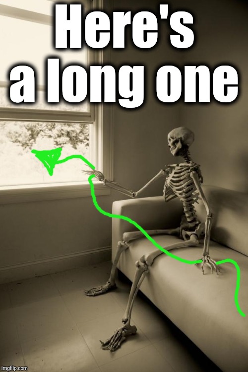 Skeleton Waiting | Here's a long one | image tagged in skeleton waiting | made w/ Imgflip meme maker