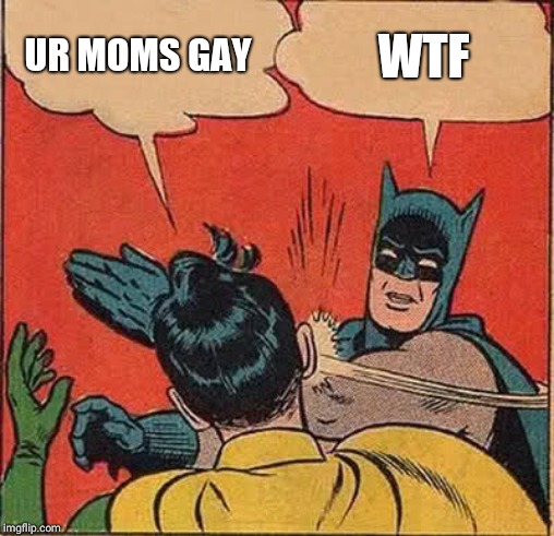 Batman Slapping Robin Meme | UR MOMS GAY; WTF | image tagged in memes,batman slapping robin | made w/ Imgflip meme maker