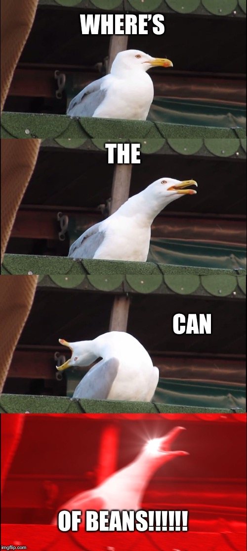 Inhaling Seagull | WHERE’S; THE; CAN; OF BEANS!!!!!! | image tagged in memes,inhaling seagull | made w/ Imgflip meme maker