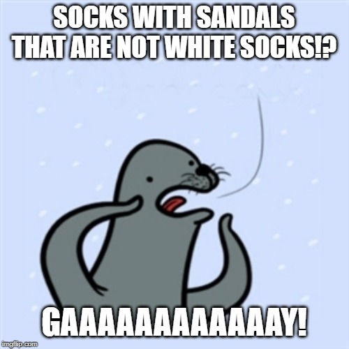 gay seal | SOCKS WITH SANDALS THAT ARE NOT WHITE SOCKS!? GAAAAAAAAAAAAY! | image tagged in gay seal | made w/ Imgflip meme maker