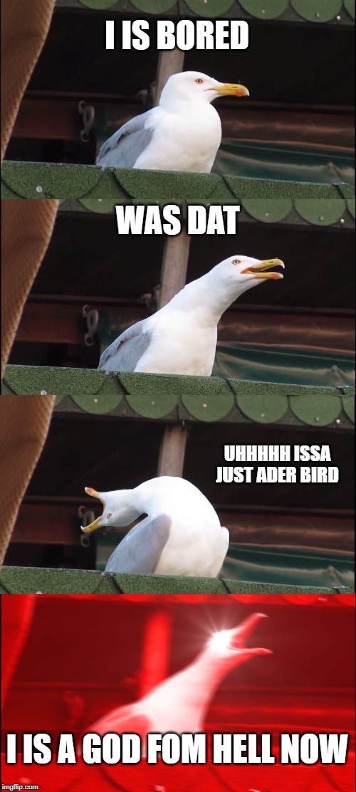 Inhaling Seagull | I IS BORED; WAS DAT; UHHHHH ISSA JUST ADER BIRD; I IS A GOD FOM HELL NOW | image tagged in memes,inhaling seagull | made w/ Imgflip meme maker