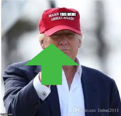 Pls make this meme great again! | THIS MEME | image tagged in donald trump,upvotes | made w/ Imgflip meme maker