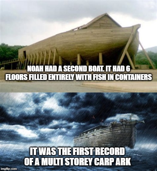 amazing on so many levels | NOAH HAD A SECOND BOAT. IT HAD 6 FLOORS FILLED ENTIRELY WITH FISH IN CONTAINERS; IT WAS THE FIRST RECORD OF A MULTI STOREY CARP ARK | image tagged in noahs ark,something fishy | made w/ Imgflip meme maker