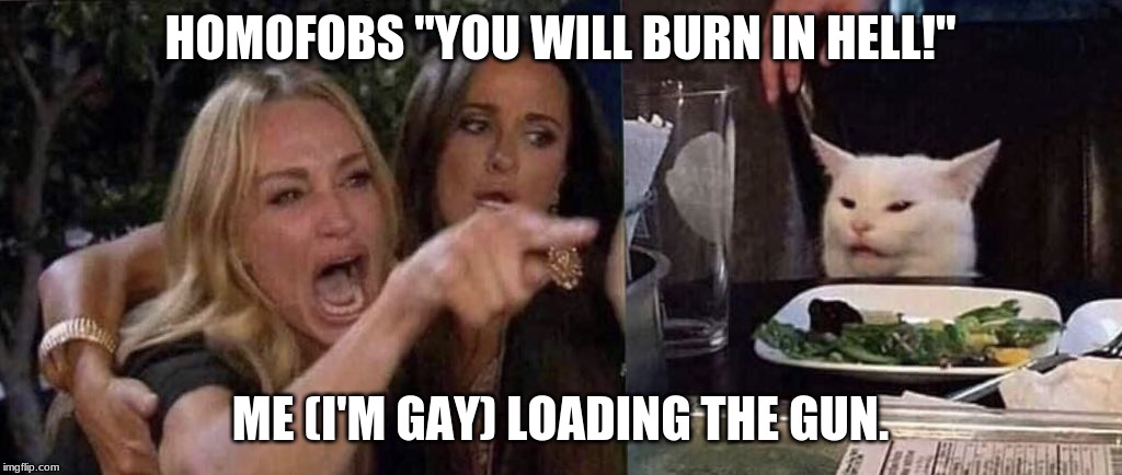 woman yelling at cat | HOMOFOBS "YOU WILL BURN IN HELL!"; ME (I'M GAY) LOADING THE GUN. | image tagged in woman yelling at cat | made w/ Imgflip meme maker