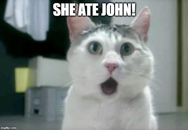 OMG Cat Meme | SHE ATE JOHN! | image tagged in memes,omg cat | made w/ Imgflip meme maker