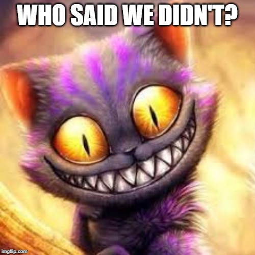 Crazy cat | WHO SAID WE DIDN'T? | image tagged in crazy cat | made w/ Imgflip meme maker