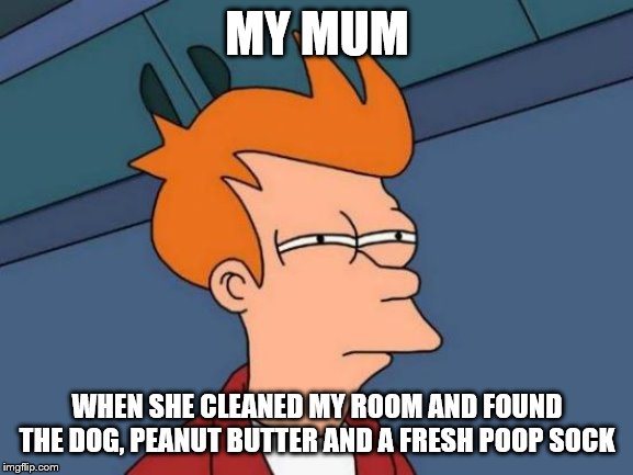Futurama Fry | MY MUM; WHEN SHE CLEANED MY ROOM AND FOUND THE DOG, PEANUT BUTTER AND A FRESH POOP SOCK | image tagged in memes,futurama fry | made w/ Imgflip meme maker
