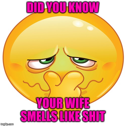 DID YOU KNOW YOUR WIFE SMELLS LIKE SHIT | made w/ Imgflip meme maker