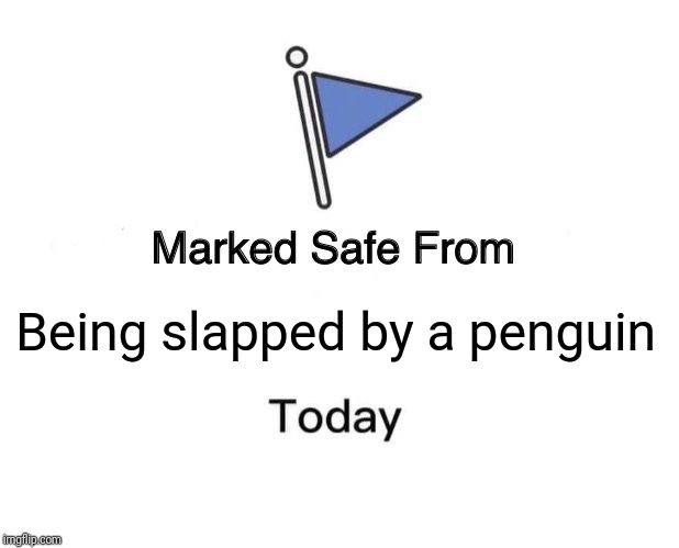 Today is a good day. | Being slapped by a penguin | image tagged in memes,marked safe from | made w/ Imgflip meme maker