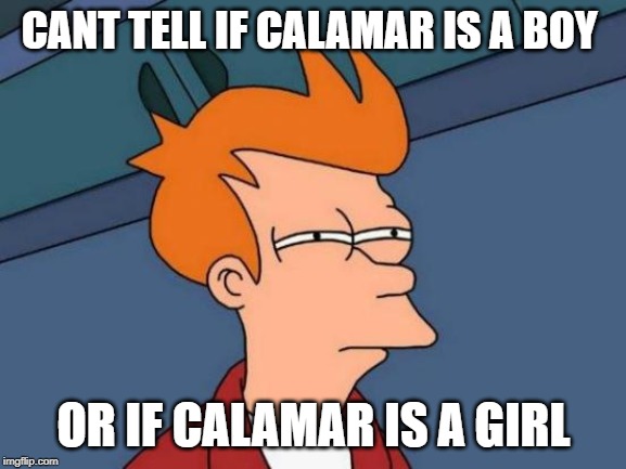 Futurama Fry Meme | CANT TELL IF CALAMAR IS A BOY; OR IF CALAMAR IS A GIRL | image tagged in memes,futurama fry | made w/ Imgflip meme maker