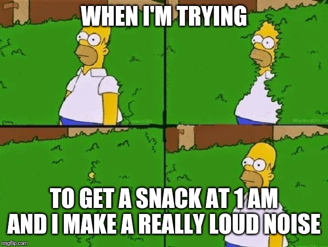 HOMER BUSH | WHEN I'M TRYING; TO GET A SNACK AT 1 AM AND I MAKE A REALLY LOUD NOISE | image tagged in homer bush | made w/ Imgflip meme maker