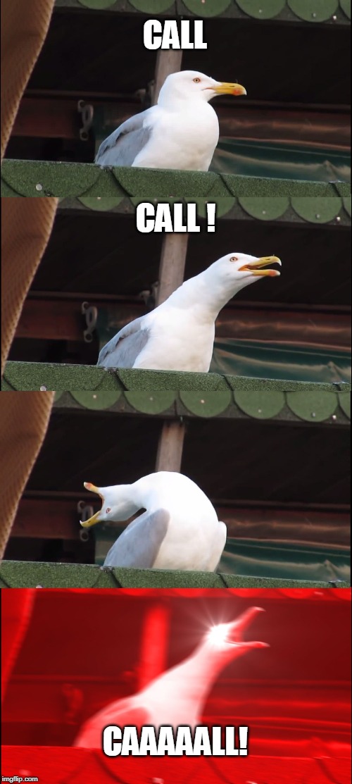 Inhaling Seagull Meme | CALL; CALL ! CAAAAALL! | image tagged in memes,inhaling seagull | made w/ Imgflip meme maker