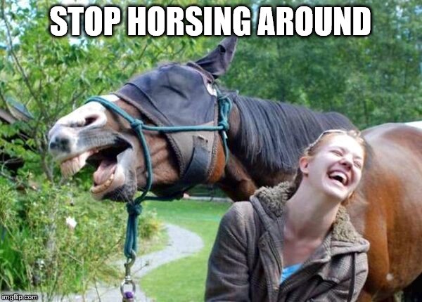 Laughing Horse | STOP HORSING AROUND | image tagged in laughing horse | made w/ Imgflip meme maker