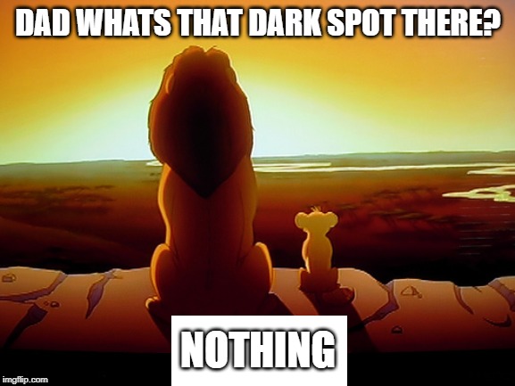 Lion King | DAD WHATS THAT DARK SPOT THERE? NOTHING | image tagged in memes,lion king | made w/ Imgflip meme maker