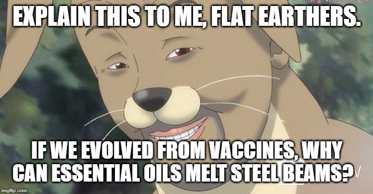 Weird anime hentai furry | EXPLAIN THIS TO ME, FLAT EARTHERS. IF WE EVOLVED FROM VACCINES, WHY CAN ESSENTIAL OILS MELT STEEL BEAMS? | image tagged in weird anime hentai furry,evolution,vaccination,vaccinations,9/11,funny memes | made w/ Imgflip meme maker