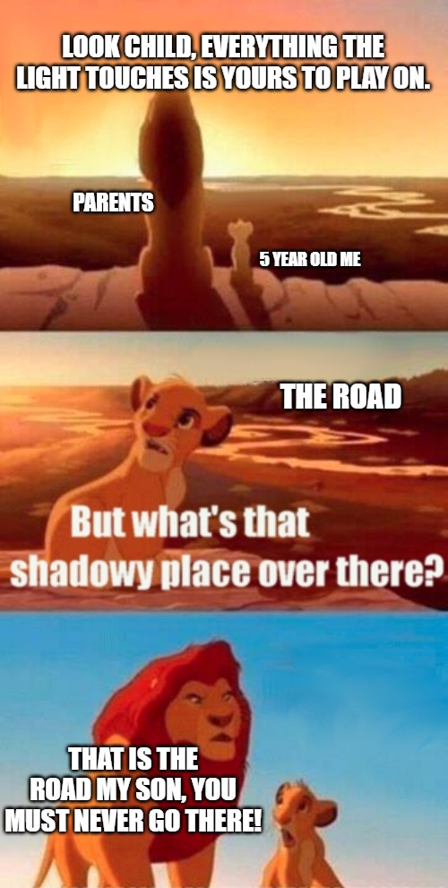 Simba Shadowy Place Meme | LOOK CHILD, EVERYTHING THE LIGHT TOUCHES IS YOURS TO PLAY ON. PARENTS; 5 YEAR OLD ME; THE ROAD; THAT IS THE ROAD MY SON, YOU MUST NEVER GO THERE! | image tagged in memes,simba shadowy place | made w/ Imgflip meme maker