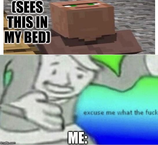 Excuse me wtf blank template | (SEES THIS IN MY BED); ME: | image tagged in excuse me wtf blank template | made w/ Imgflip meme maker