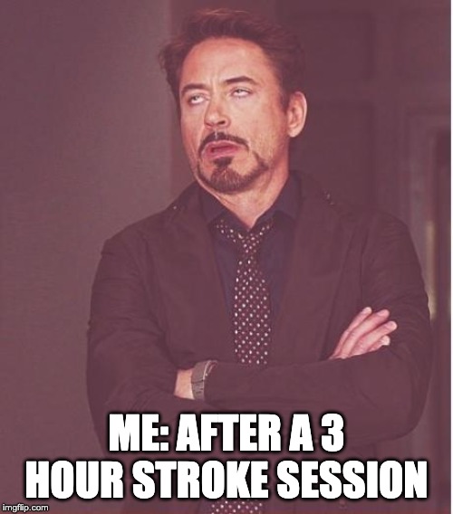 Face You Make Robert Downey Jr | ME: AFTER A 3 HOUR STROKE SESSION | image tagged in memes,face you make robert downey jr | made w/ Imgflip meme maker