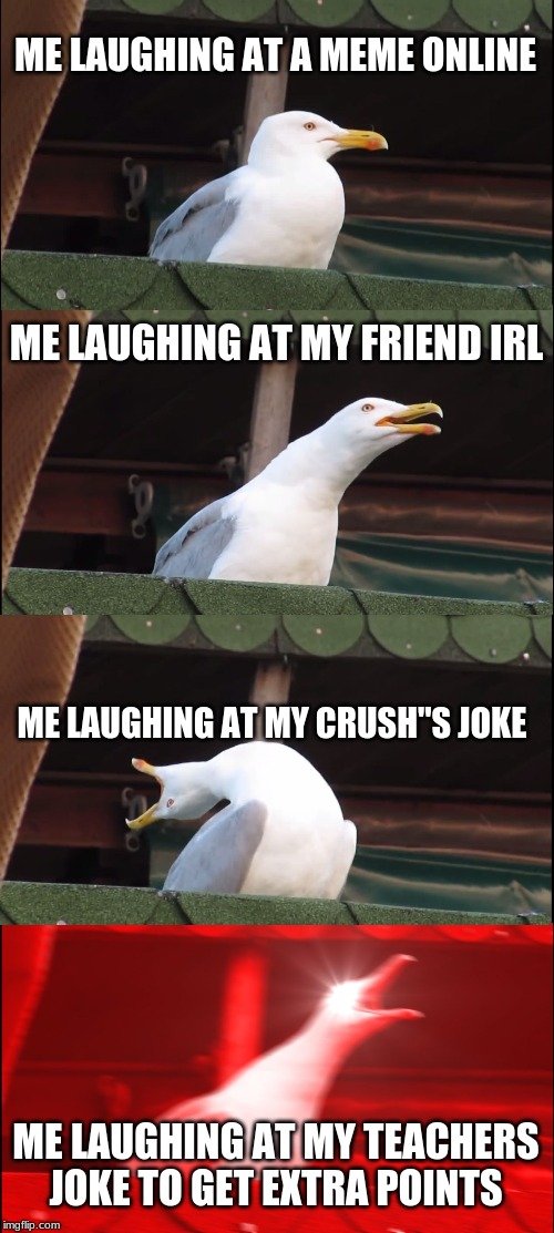 Inhaling Seagull | ME LAUGHING AT A MEME ONLINE; ME LAUGHING AT MY FRIEND IRL; ME LAUGHING AT MY CRUSH"S JOKE; ME LAUGHING AT MY TEACHERS JOKE TO GET EXTRA POINTS | image tagged in memes,inhaling seagull | made w/ Imgflip meme maker