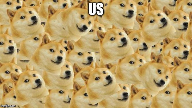 Multi Doge Meme | US | image tagged in memes,multi doge | made w/ Imgflip meme maker