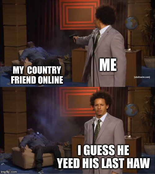 Who Killed Hannibal Meme | ME; MY  COUNTRY FRIEND ONLINE; I GUESS HE YEED HIS LAST HAW | image tagged in memes,who killed hannibal | made w/ Imgflip meme maker