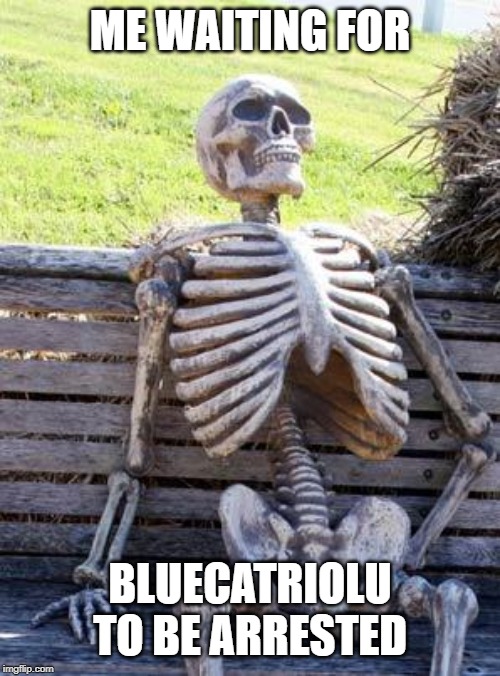 Waiting Skeleton | ME WAITING FOR; BLUECATRIOLU TO BE ARRESTED | image tagged in memes,waiting skeleton | made w/ Imgflip meme maker