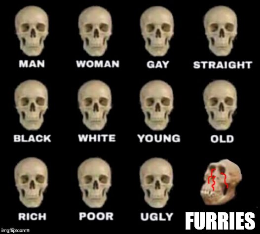 Furry Skull | FURRIES | image tagged in idiot skull,furries,skull | made w/ Imgflip meme maker