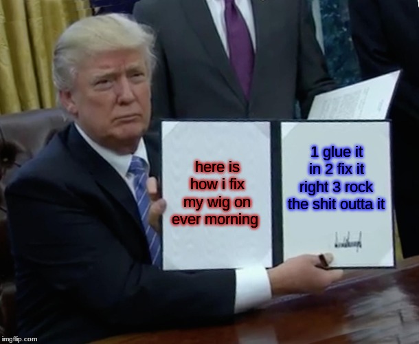 Trump Bill Signing | here is how i fix my wig on ever morning; 1 glue it in 2 fix it right 3 rock the shit outta it | image tagged in memes,trump bill signing | made w/ Imgflip meme maker