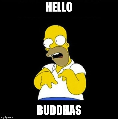 Homer Simpson Retarded | HELLO; BUDDHAS | image tagged in homer simpson retarded | made w/ Imgflip meme maker