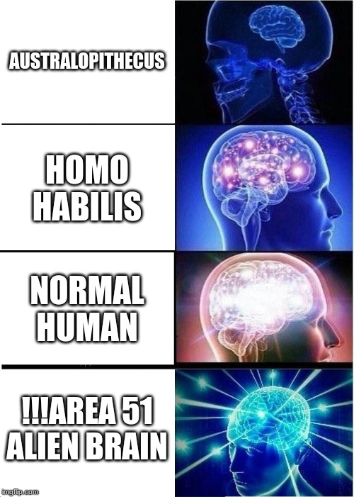 Expanding Brain Meme | AUSTRALOPITHECUS; HOMO HABILIS; NORMAL HUMAN; !!!AREA 51 ALIEN BRAIN | image tagged in memes,expanding brain | made w/ Imgflip meme maker