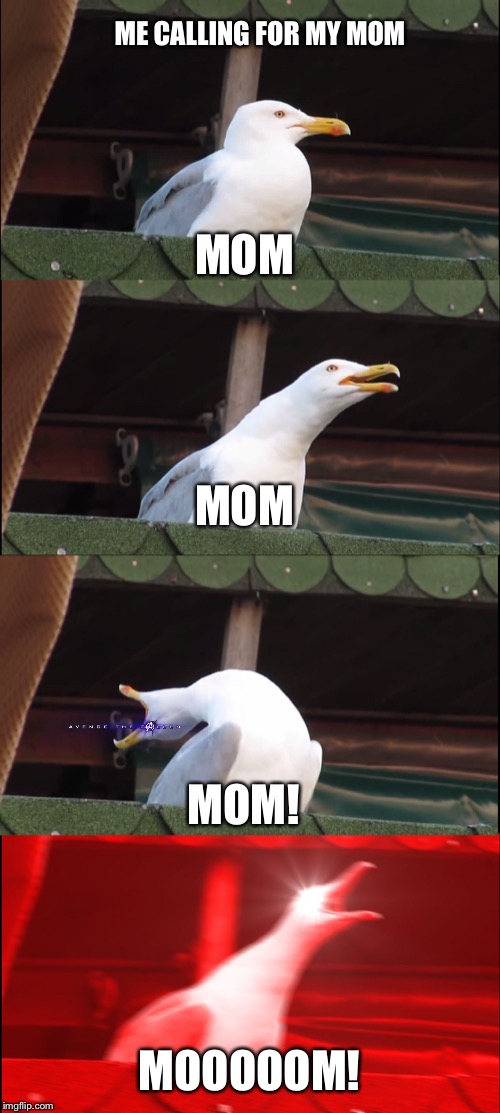 Inhaling Seagull | ME CALLING FOR MY MOM; MOM; MOM; MOM! MOOOOOM! | image tagged in memes,inhaling seagull | made w/ Imgflip meme maker