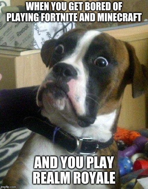Surprised Dog | WHEN YOU GET BORED OF PLAYING FORTNITE AND MINECRAFT; AND YOU PLAY REALM ROYALE | image tagged in surprised dog | made w/ Imgflip meme maker