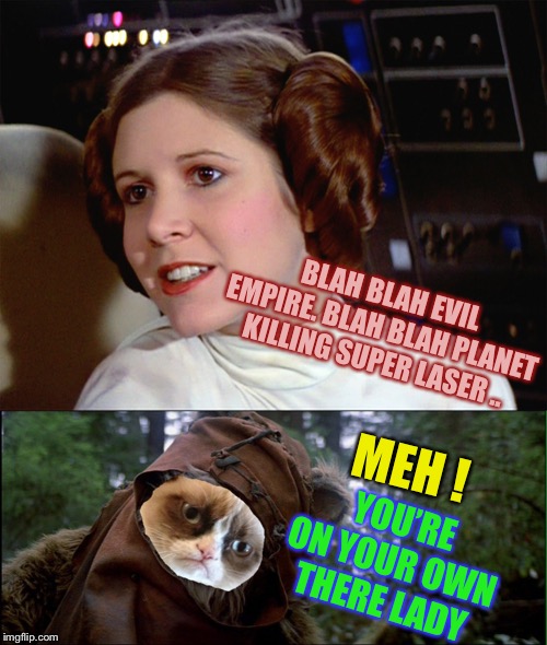 BLAH BLAH EVIL EMPIRE. BLAH BLAH PLANET KILLING SUPER LASER .. MEH ! YOU’RE ON YOUR OWN THERE LADY | image tagged in princess leia too easy,grumpy ewok tilted head | made w/ Imgflip meme maker