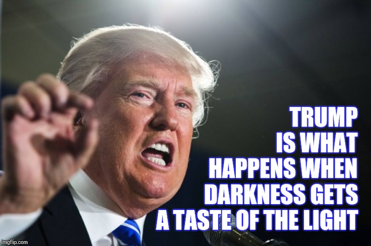 The Creature From the Swampiest Lagoon | TRUMP IS WHAT HAPPENS WHEN; DARKNESS GETS A TASTE OF THE LIGHT | image tagged in donald trump,trump unfit unqualified dangerous,liar in chief,drain the swamp,villian,memes | made w/ Imgflip meme maker