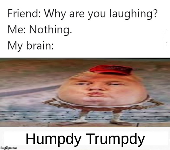 why are you laughing | Humpdy Trumpdy | image tagged in why are you laughing | made w/ Imgflip meme maker