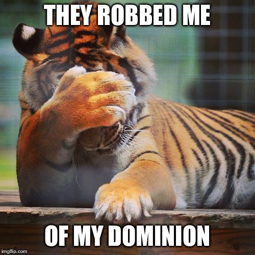 Facepalm Tiger | THEY ROBBED ME; OF MY DOMINION | image tagged in facepalm tiger | made w/ Imgflip meme maker