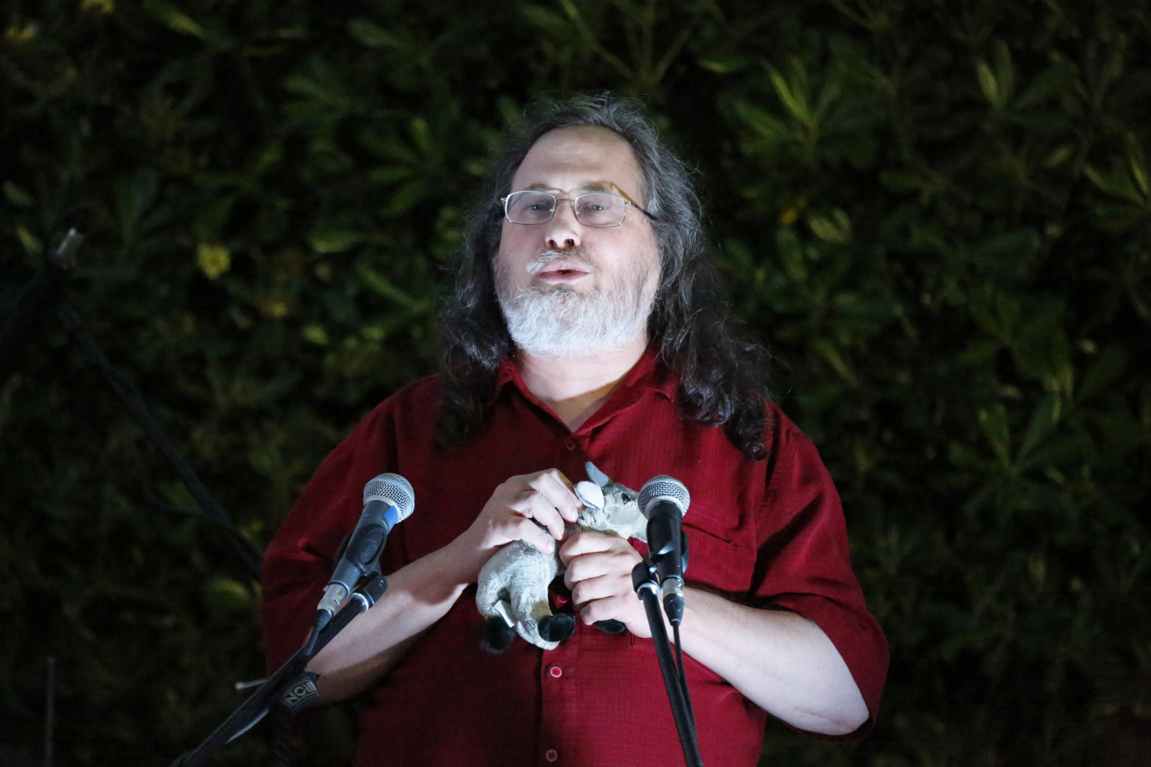 stallman chinchilla Blank Meme Template